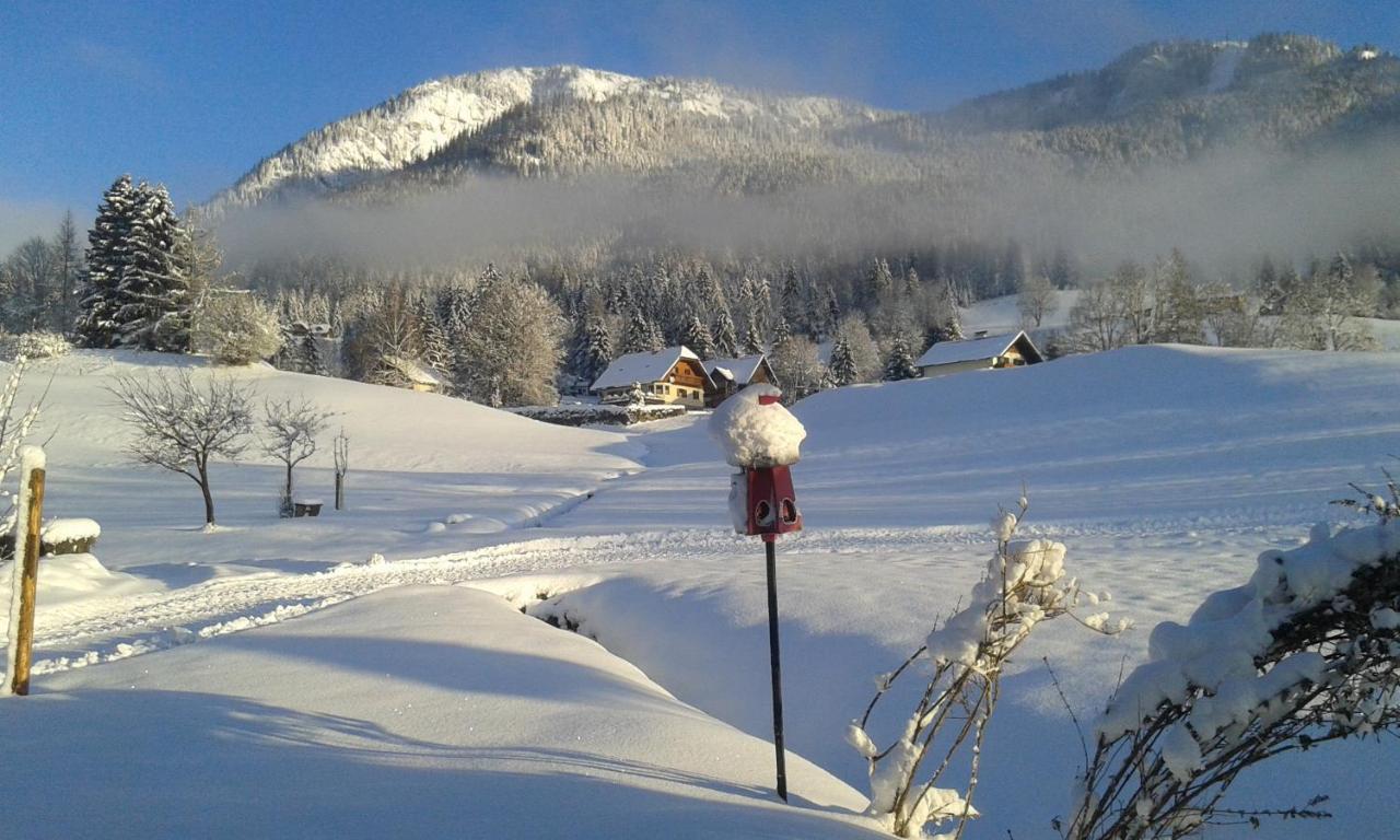 Wagnerhof Villa Pichl bei Aussee Dış mekan fotoğraf